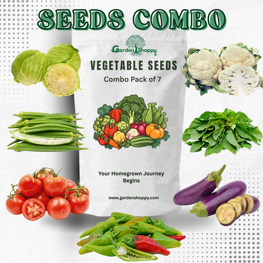 Vegetable Seeds Combo Pack of 7 Varieties  - Vegetable Garden Combo 055