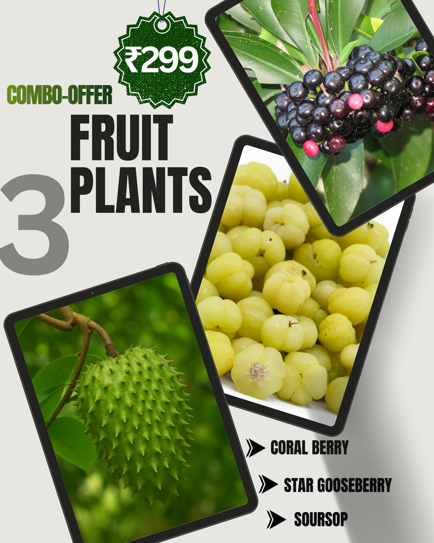 3 Fruit Plant Combo - Only ₹299