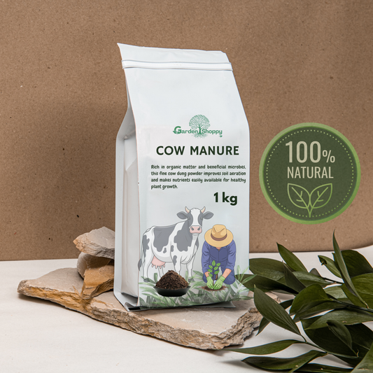 Cow Manure Powder