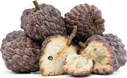 Custard Apple Red Fruit Plant - Annona Squamosa