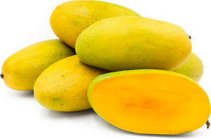 Dasheri Mango Fruit Plant - Mangifera Indica