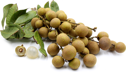Diamond River Longan Fruit Plant