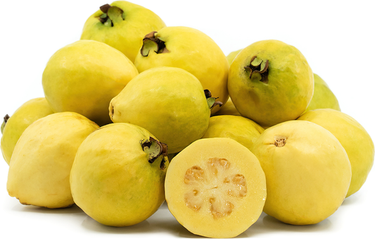 Gold Guava Fruit Plant