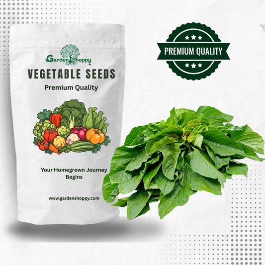 Green Amaranthus Seeds - Vegetable Seeds