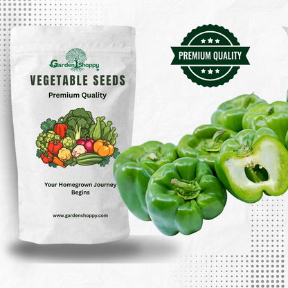 Green F1 Hybrid Capsicum Seeds - Vegetable Seeds