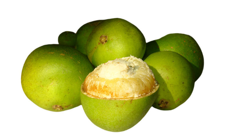 Green Matoa Fruit Plant