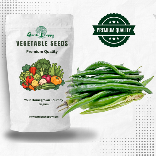 Aarya F1 Hybrid Chilli Seeds - Vegetable Seeds