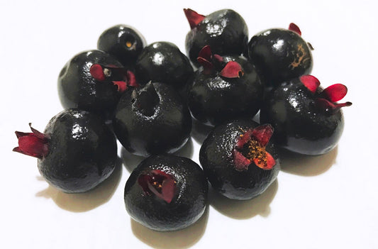 Black Grumichama Fruit Plant - Eugenia Brasiliensis