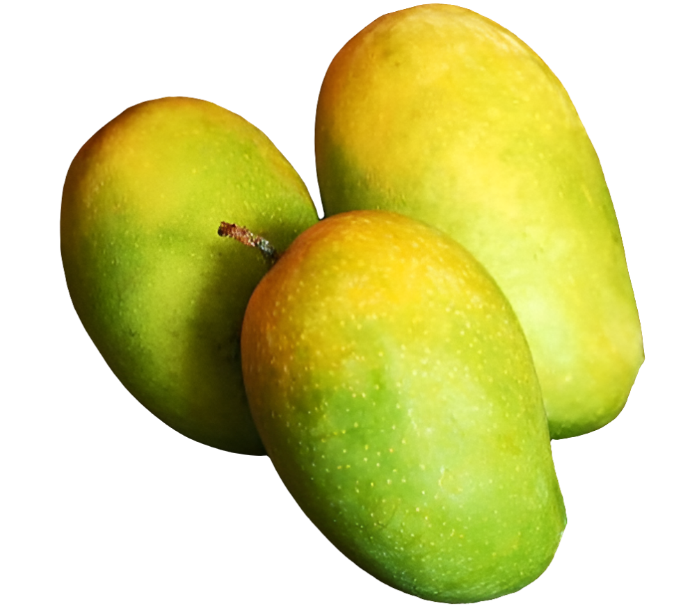Kesar Mango