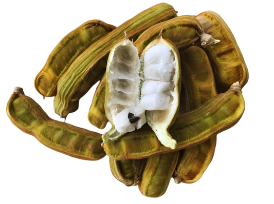 Ice cream Bean W4