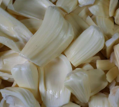 Jack Gumless Fruit Plant - Artocarpus Heterophyllus