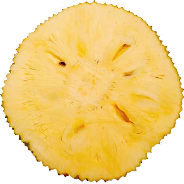 Jack Seed Free