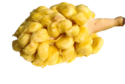 Jack Soft Fruit Plant - Artocarpus Heterophyllus