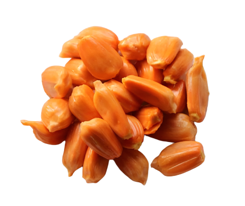 Jack Daeng Suriya Plant – Gardenshoppy