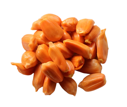 Jack Daeng Suriya Plant Fruit Plant - Artocarpus Heterophyllus