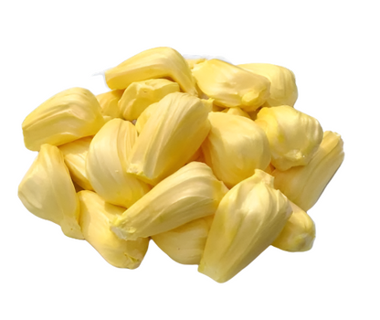 Jack J33 Fruit Plant - Artocarpus Heterophyllus