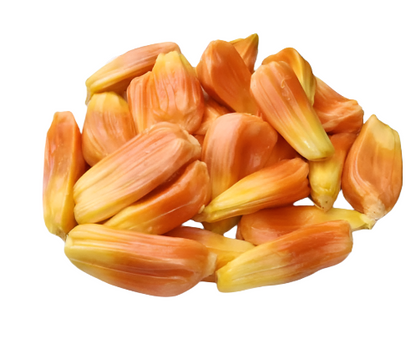 Jack Sindoor Fruit Plant - Artocarpus Heterophyllus