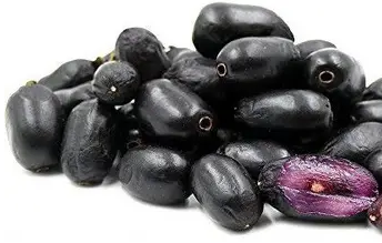 Jamun Black Seedfree Fruit Plant - Syzygium Cumini