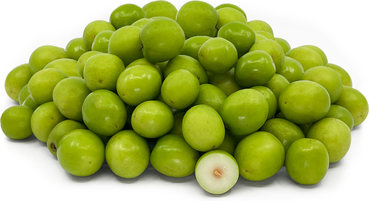 Green Jujube Fruit Plant