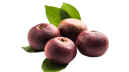 Sweet Kokum Fruit Plant - Garcinia Indica