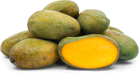 Kolomb Mango Fruit Plant - Mangifera Indica