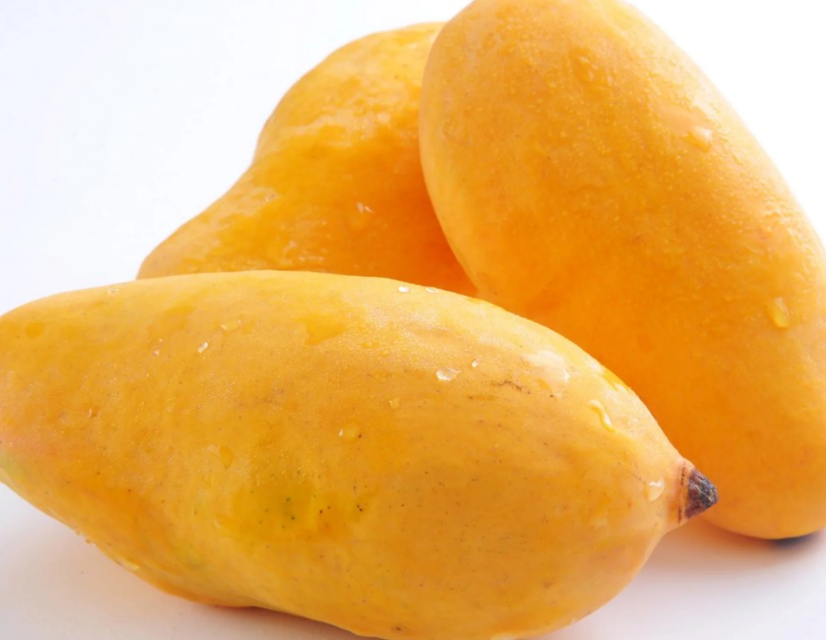 Kolomb Mango Fruit Plant - Mangifera Indica