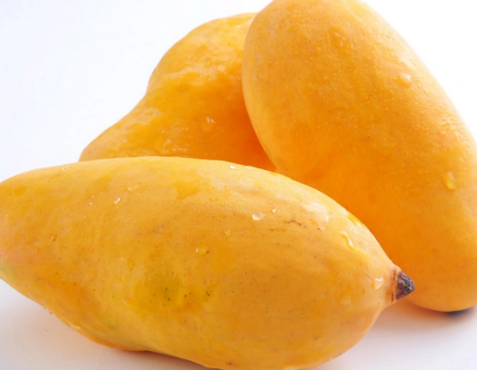 Kolomb Mango Fruit Plant - Mangifera Indica