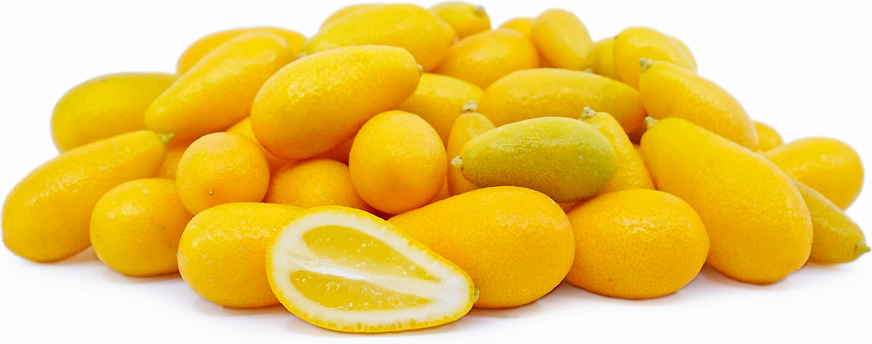 Kumquats Orange Seedless Plant