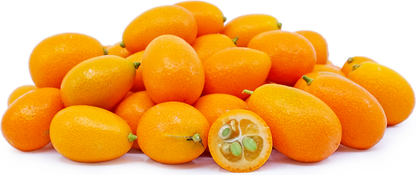 Kumquats Orange Fruit Plant - Citrus Japonica