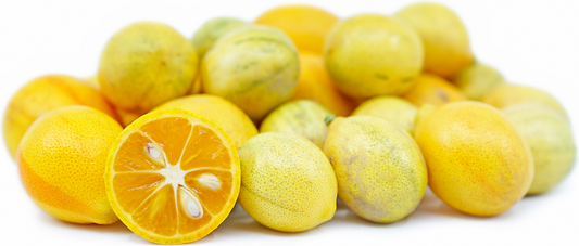 Kumquats Orange Variegated Plant
