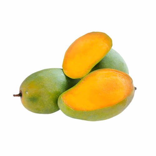 Langra Mango Fruit Plant - Mangifera Indica