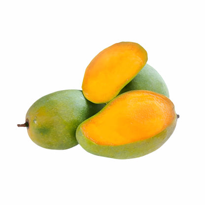 Langra Mango Fruit Plant - Mangifera Indica