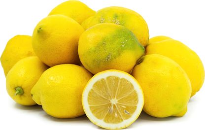 Lemon Fruit Plant - Citrus limon