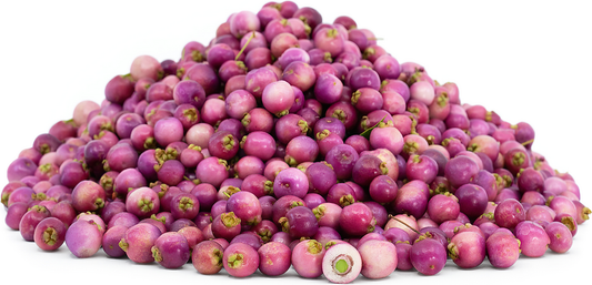 Lilly Pilly Fruit Plant - Syzygium Luehmannii