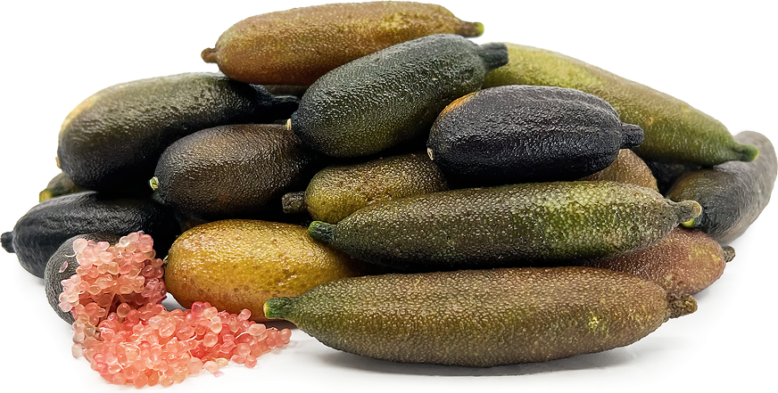 Finger Lime