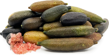 Finger Lime Fruit Plant - Citrus Aurantiifolia