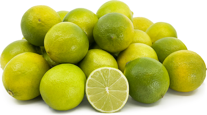 Lime Seedless Fruit Plant - Citrus Aurantiifolia