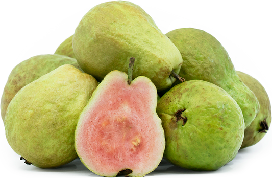 Long Red Guava Fruit Plant