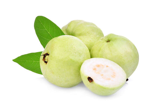 Lucknow 49 Guava Fruit Plant