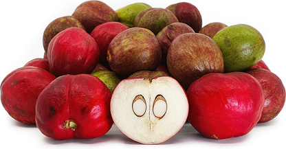 Mahkota Dewa Fruit Plant - Phaleria Macrocarpa