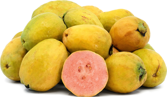Malaysian Pink Guava Fruit Plant