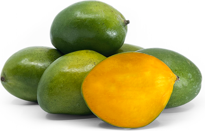Malgova Mango Fruit Plant - Mangifera Indica