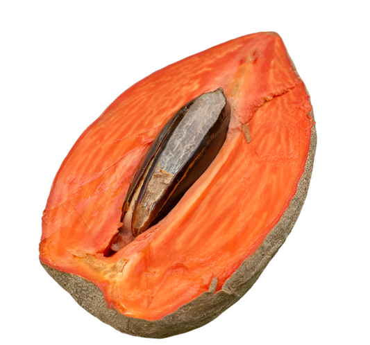 Mamey Sapote Pantine Fruit Plant