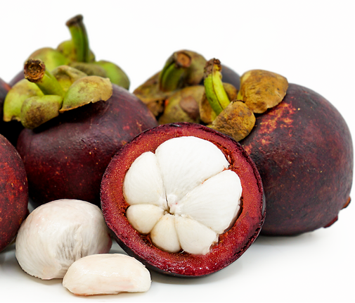 Mangosteen Fruit Plant -  Garcinia Magostana