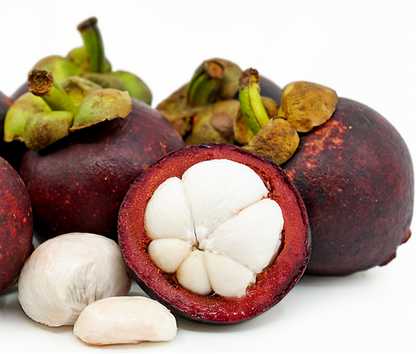 Mangosteen Fruit Plant -  Garcinia Magostana