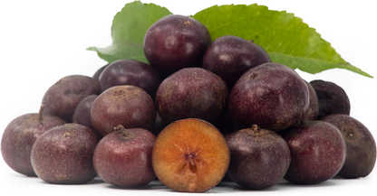 Manila Tennis Ball Cherry Fruit Plants - Flacourtia SP