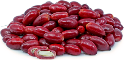 Miracle Fruit Plant - Synsepalum Dulcificum