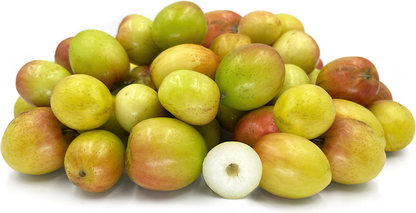 Miss India Jujube Fruit Plant - Ziziphus Mauritiana