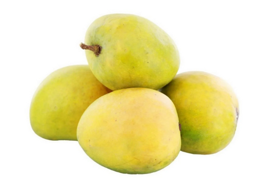 Moovandan Mango Fruit Plant - Mangifera Indica