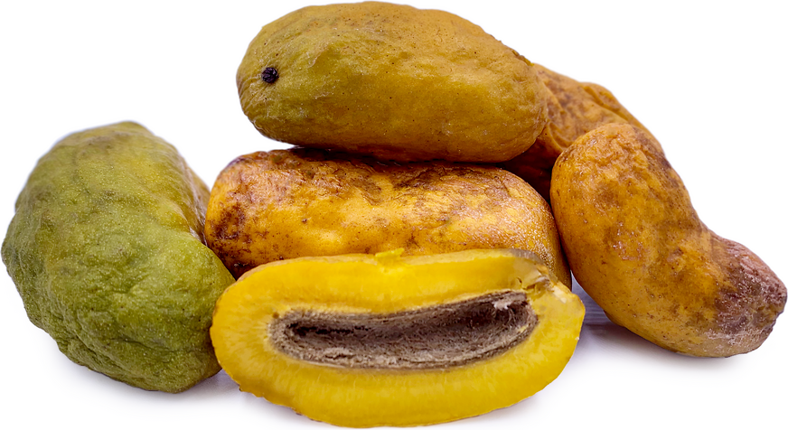 Olosapo Fruit Plant - Couepia Polyandra